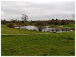Image6.jpg
