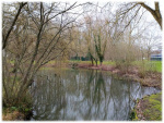 Image15.jpg
