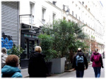 Image13.jpg