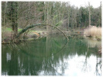 Image12.jpg