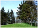 Image3.jpg
