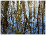 Image10.jpg