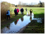 Image12.jpg