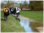 Image14.jpg