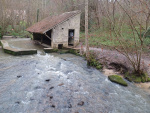 20240317_093007.jpg
