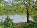 20240422_142225.jpg