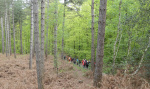 P1060618 REC.JPG