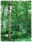Image3.jpg