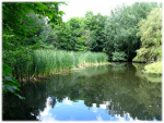 Image10.jpg