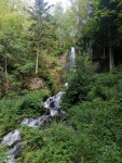 IMG-20240703-WA0007.jpg