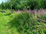 IMG_20240804_141240.jpg