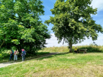 IMG_20240804_142928.jpg